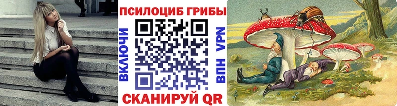 Псилоцибиновые грибы Psilocybine cubensis  Бирск 