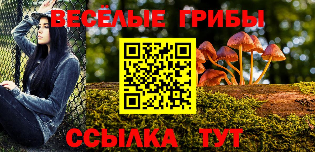 Галлюциногенные грибы мухоморы Бирск